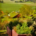 Hofgut Hafnerleiten | © photo by ron ronson | Landschaftsarchitektur von Wolfgang Wagenhäuser