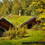 Hofgut Hafnerleiten | © photo by ron ronson | Landschaftsarchitektur von Wolfgang Wagenhäuser